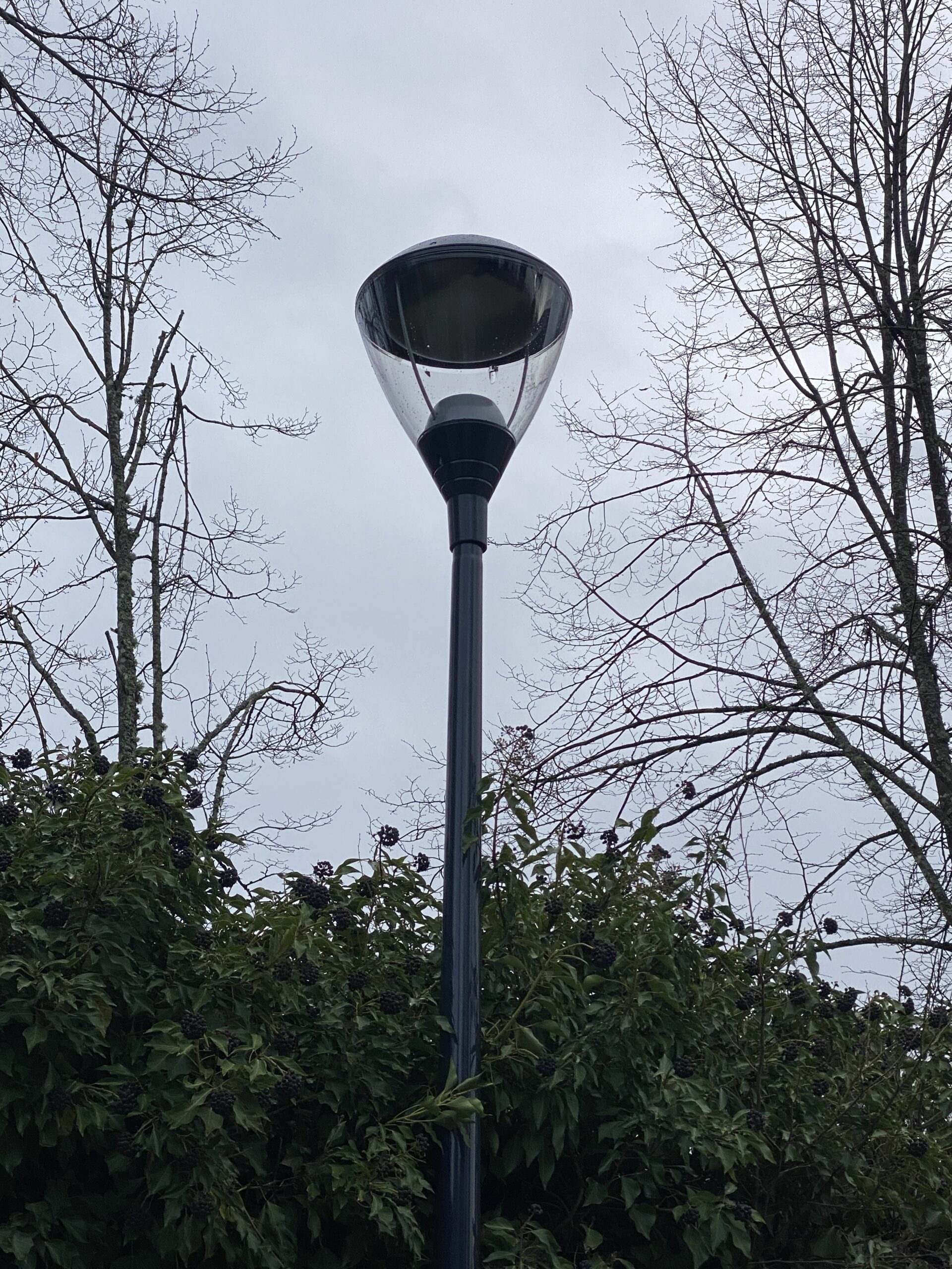 Genetec Annevoie réseau électrique éclairage